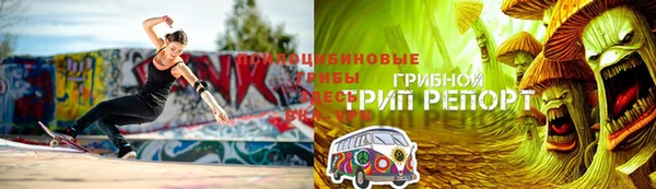 сатива Волосово