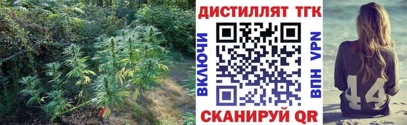 ТГК Wax  Елизово 